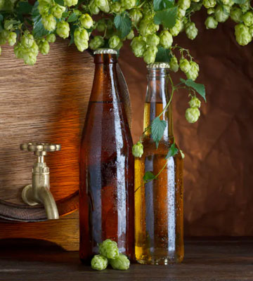 Quality Beer Bottles